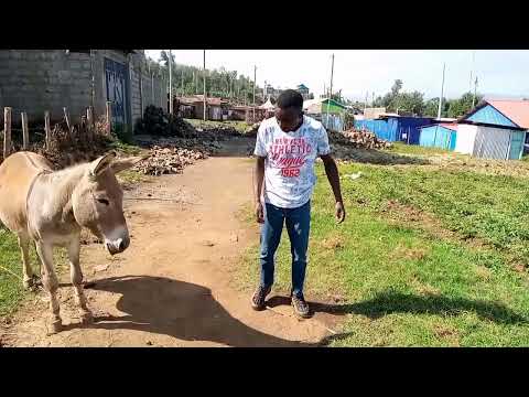 Bien FT Kanabiz Mbwe Mbwe......!!