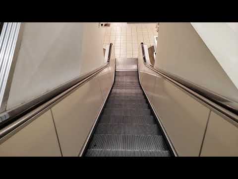 Vintage Montgomery Escalators @ JCPenney, Briarwood Mall, Ann Arbor, MI