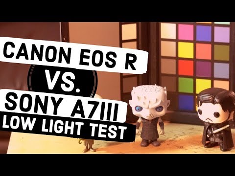 Canon EOS R vs Sony A7III Low Light Test Review (4K)