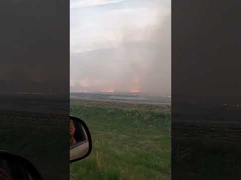 Driving Past A Contol Burn.