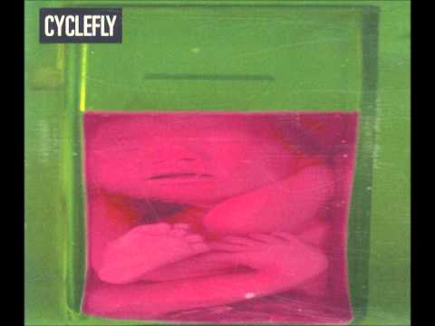 Cyclefly - Sellotape