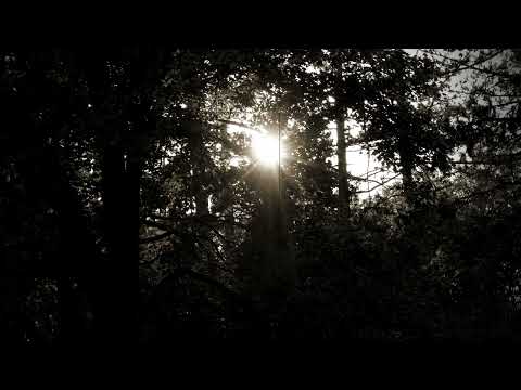 Dobri Stavrevski, Lenče bolno leži