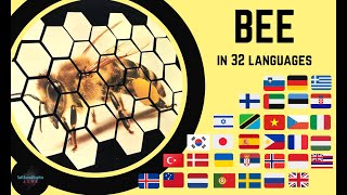 How to say BEE in 32 Different Languages | ASMR / Kako se reče ČEBELA v 32 jezikih | ASMR