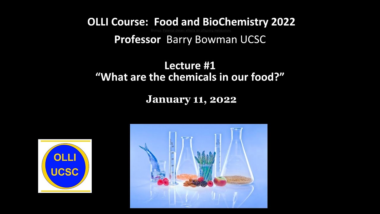 Food & Biochemistry #1 2022