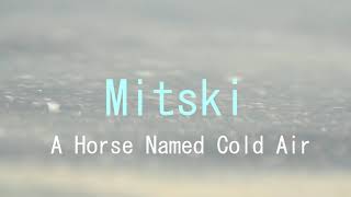 Mitski - A Horse Named Cold Air (Subtitulada)