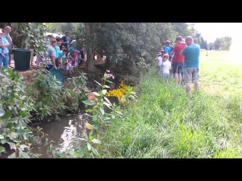 Entenrennen Oberissigheim 2015
