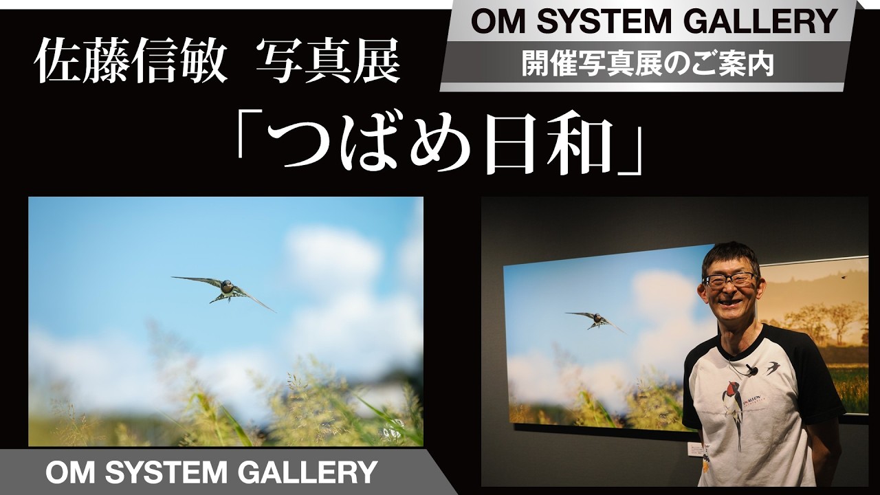 【写真展案内】佐藤信敏 写真展「つばめ日和」