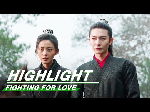 Highlight EP31:Amai Cried When She Heard Shang Yizhi Got Married | Fighting for Love | 阿麦从军 | iQIYI