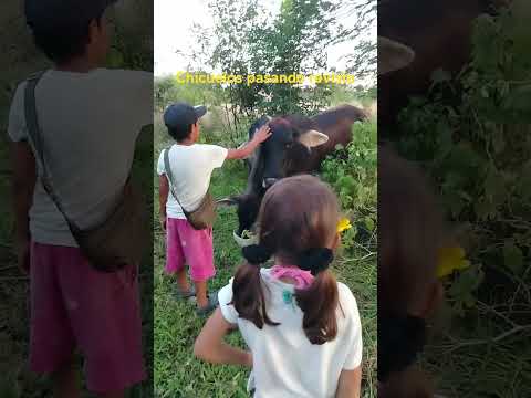 Familia Beekeeper, contribuyendo al desarrollo regio. Monterrey Casanare Colombia