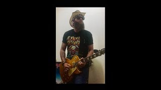 Lynyrd Skynyrd - Gifted Hands (guitar cover)