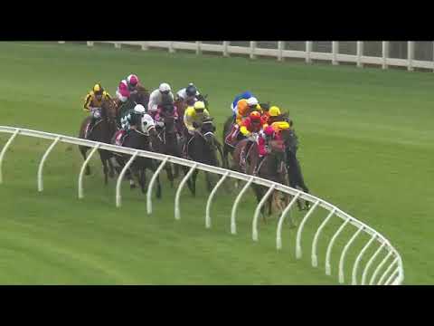 2025 Spring Champion Stakes