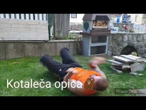 Trening za otroke - gibanje živali 3 (MMA)