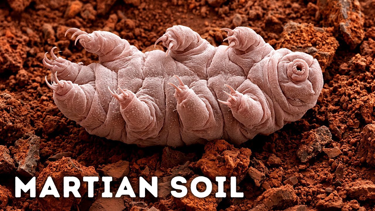 Tardigrades Survive Space, Radiation, and the Vacuum - But Not This