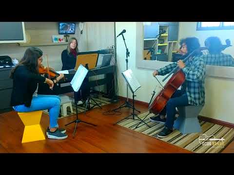 Ecos Brasil Acústico- "Never Let Me Go" (Alok) - Músicos para Casamento