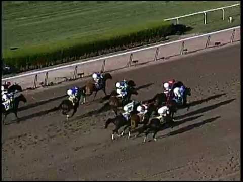 Sarava upsets War Emblem's Triple Crown in 2002 Belmont Stakes
