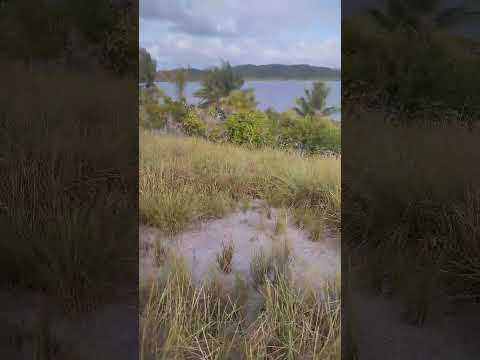 Área 2 - Baía de Camamu, Bahia, Brasil