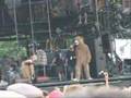 Beck Live at Bonnaroo 2006 Bear 1000 BPM