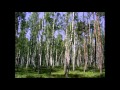 Тарас Петриненко-Украіна Taras Petrynenko-Ukraine