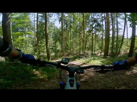 Absetzwirt - Stainz 2023