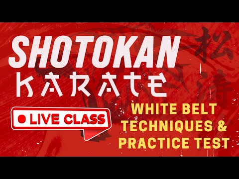 GMAU Shotokan Karate LIVE |  White Belt Techniques & Practice Test thumbnail