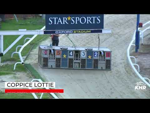 COPPICE LOTTIE - BGBF BRITISH BRED OAKS HEAT 2