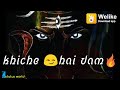 Jai Makal Ke