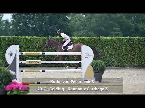 Kafka van Paebroeck Z