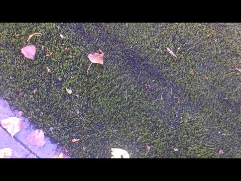 damian khc E3 training