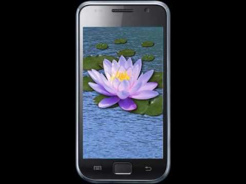 Flowers. Magic Touch Wallpaper Video