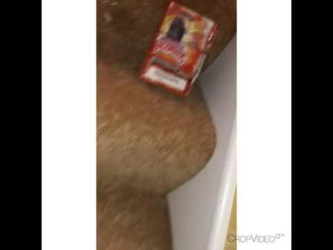 AMG Fresh #PutThatWoman1stChallenge2k18🔥🔥🔥