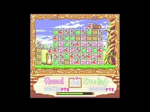 Bizarre Bits: Araiguma Rascal (Rascal Raccoon)