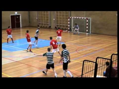 Samenvatting Excelsior'31 3 -  Drienerlo 2  Comp, ( Zaal  Eerste Klasse)