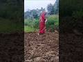 Udd Ja Kale Kawa Shortsfeed Shorts Ytshorts Youtubeshorts Trending Viral Short Shortvideo