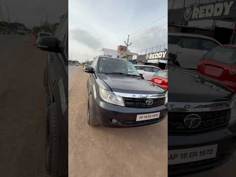 SAFARI STORM LONG TRAIL