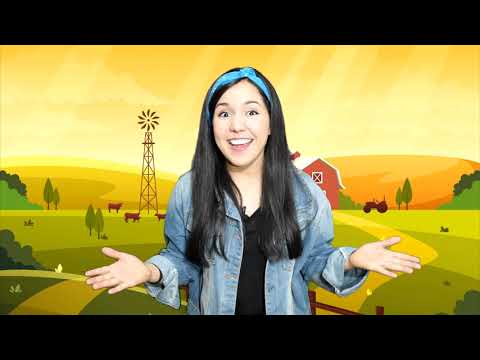 Programa Infantil Nº 6   Alegría y sus amigos