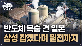 반도체 부활 위해 원전 재가동 나선 일본 | 김일규의 도쿄나우