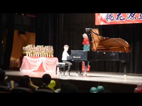 20160814桃花源音樂比賽