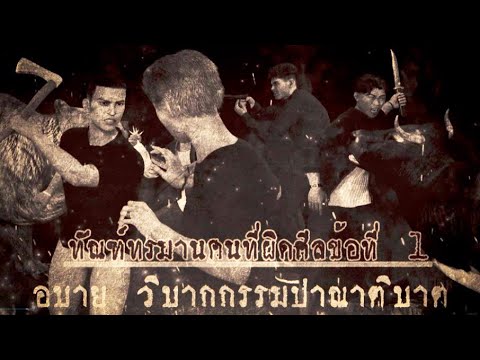 รูปภาพ ดาวโหลด Google Youtube SEO