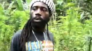 Bob Marley's marijuana plantation in Jamaica (Tour presentation)