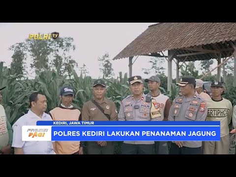 POLRES KEDIRI GELAR PENANAMAN JAGUNG