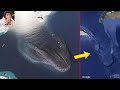 Massive "Leviathan" Threat ❗❗😱... The Bible Warned Us About It