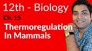 Fsc Biology Book 2 - Thermoregulation in Mammals - Ch 15 Homeostasis - 12th Class Biology