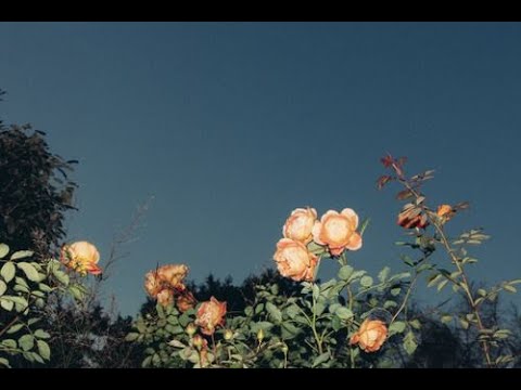 Alternative / Pop Rock x DnB Type Beat - "nightmare"