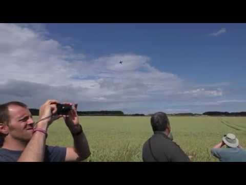 Royal Air Force Hawk T2 Role Demo - East Fortune Airshow 2015