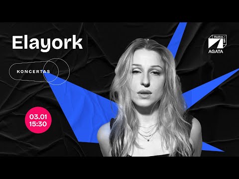 Elayork | Muzikos salė 2025