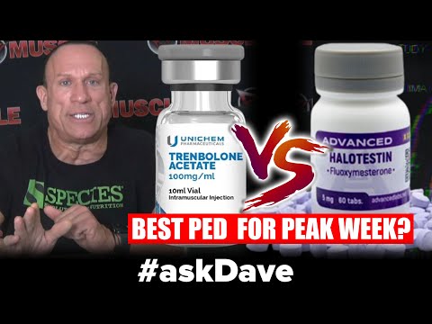 TREN ACETATE vs. HALOTESTIN! Palumbo's PEAK WEEK Protocol! #askDave