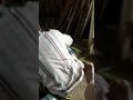 Madura Orang Latah Jorok