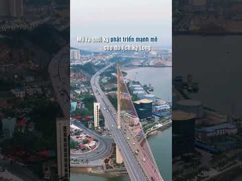 Cầu Bãi Cháy - Biểu tượng rực sáng giữa lòng Hạ Long