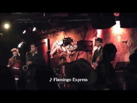 ♪ Flamingo Express
