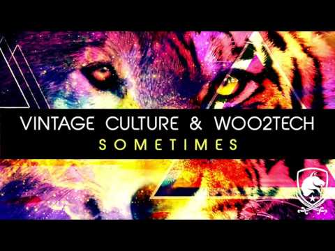 Vintage Culture & WOO2TECH - Sometimes (Radio Edit)